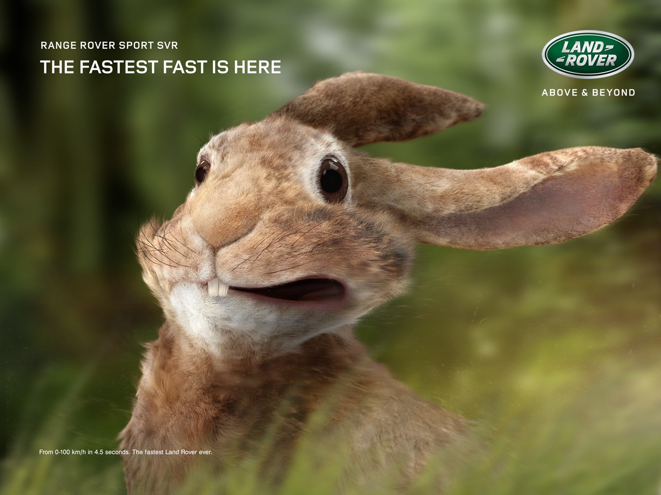 Land Rover Rabbit Poster